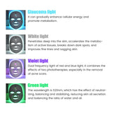 7 Colours LED Skin Care Mask